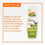 Palmers Olive Oil Shampoo, 400ml - Image 4